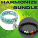 Image of Harmonize Bundle