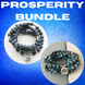 Image of Prosperity Bundle